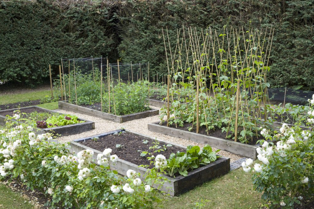 Benefits of a kitchen garden