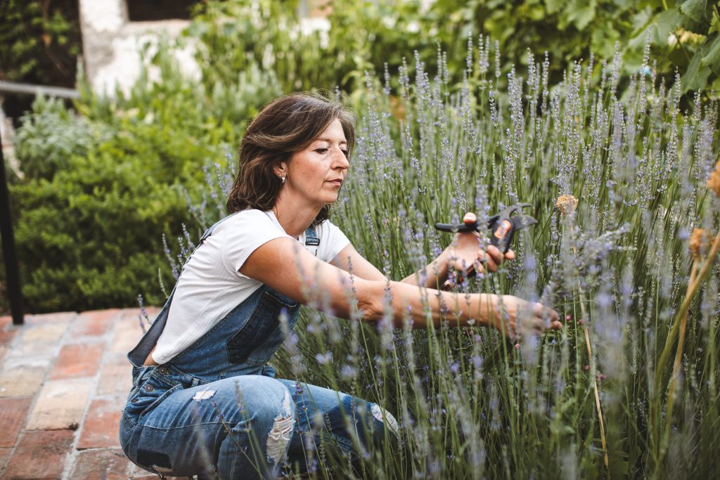 Invest in low maintenance garden flowers
