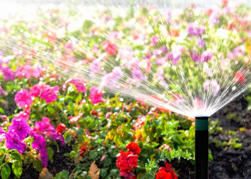 Auto irrigation system